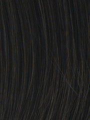 16" HF Synthetic Hair Extension (1 Piece) | Clip In | DISCONTINUED