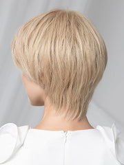 Award Small Deluxe| Remy Human Hair Lace Front Wig (Mono Part)