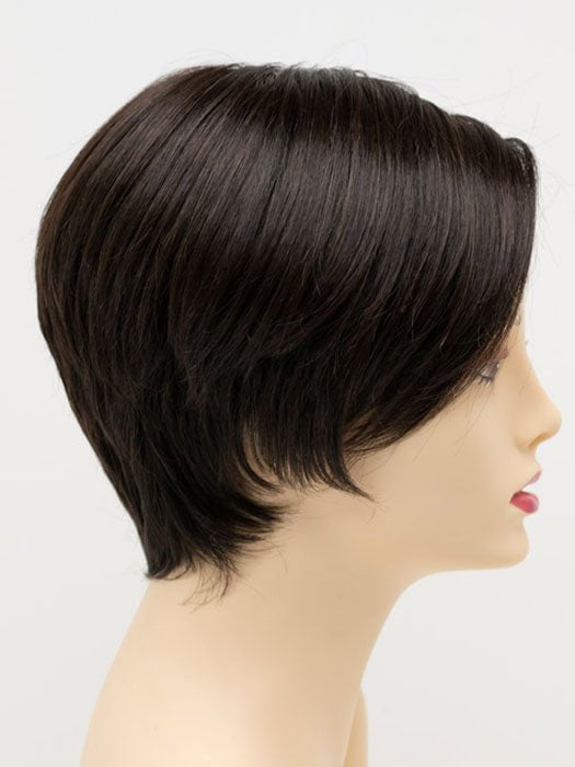 Billie | Human Hair/Synthetic Hair Blend (Mono Top)