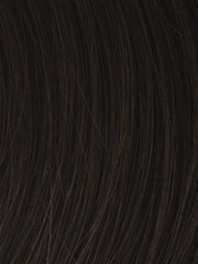 16" HF Synthetic Hair Extension (1 Piece) | Clip In | DISCONTINUED